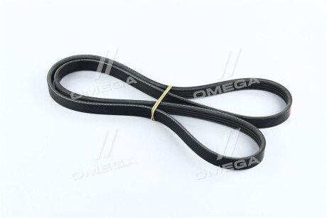 Ремінь поліклін. C.I.U Dongil 4PK1215