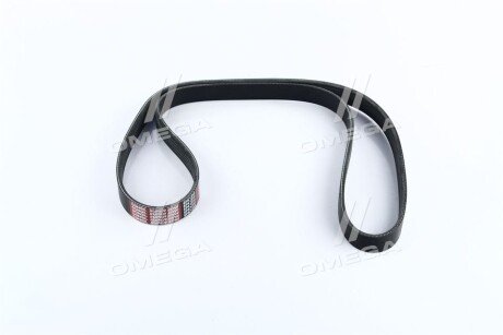 Ремень поликлин. C.I.U Dongil 6PK1310