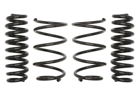 Комплект пружин (Pro-Kit) BMW 3 (E90) 04-11 (4 шт.) (opt-om) EIBACH E10-20-014-01-22