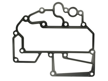 Прокладка масляного радиатора MAN D2066/2676 (51.05901.0160) ELRING 021.272