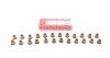 Сальник клапана (впуск/випуск) BMW X5 (E70)/X6 (E71/E72) 07-14 (к-кт) M57/N57 (opt-om) ELRING 152.390 (фото 1)