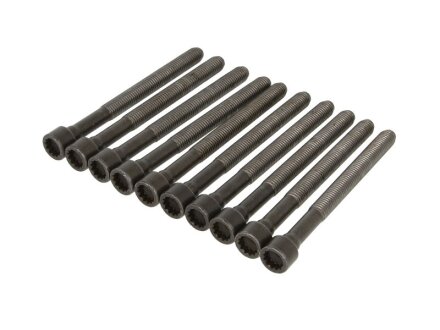 Комплект болтів головки блоку циліндрів VAG 4,2 V8 (2) (вироб-во) ELRING 341.400