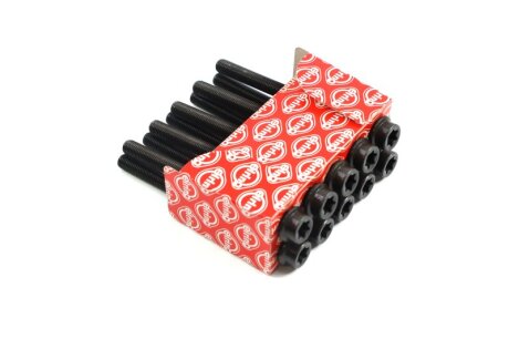 Комплект болтів головки блоку PORSCHE 4,8 M 48 (2) ELRING 474.990