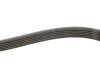 Ремінь генератора VW Caddy IV/V 15-/T7 2.0 TSi 21- (6PK1005) (opt-om) FEBI BILSTEIN 177991 (фото 4)