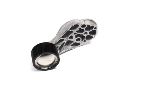 Ролик RVI C, K, KERAX, MAGNUM, T; VOLVO 8500, FH, FH II D13A400-DXi (Febi) FEBI BILSTEIN 30646