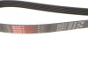 Ремінь поліклін. Gates 6PK2413 (фото 3)