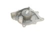 Помпа води Citroen C4-C8/Jumper/Peugeot 308/407/Ford Focus 2.0-2.2HDi/D/TDCi 06- (19z) (B/B)(8 лоп UA63 GRAF PA1049 (фото 3)