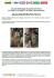 Помпа води Audi/Seat/Skoda/VW Crafter/Caddy/T6/Passat/Golf 1.6/2.0TDI 13- (R/B 4PT)(7 лоп)(з да UA63 GRAF PA1360A-8 (фото 2)