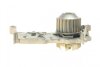 Помпа води Renault Kangoo/Laguna/Megane/Scenic 1.4/1.6 97-08/Logan 14- (20z)(B/B)(8лоп) UA63 GRAF PA724A (фото 3)