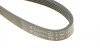 HUTCHINSON 1240 K 5 (фото 4)