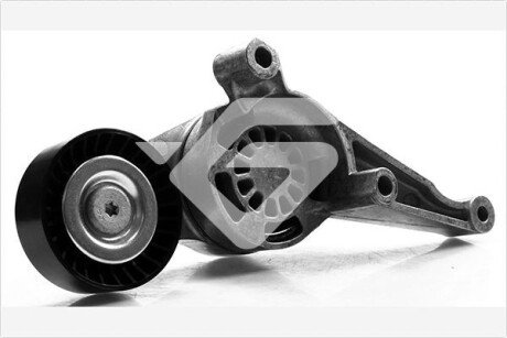РОЛИК НАТЯЖНЫЙ 1,9/2,0 TDI VW Golf (06-10), Passat (05-10), Caddy (04-10) HUTCHINSON T0260