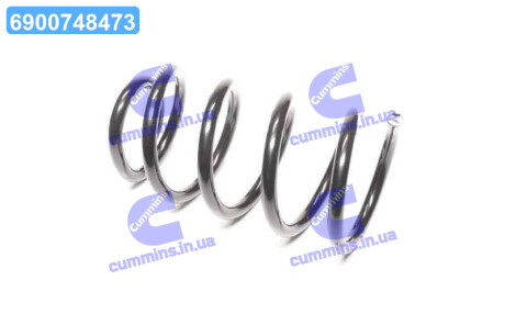 Пружина задняя (Mobis) Hyundai/Kia/Mobis 553302P450
