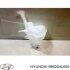 Бачок омывателя Hyundai/Kia/Mobis 986204L000 (фото 1)
