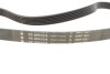 Комплект поликлинового ремня INA 529 0103 10 (фото 2)