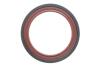 Комплект ланцюга OPEL Z10XE/Z12XE/Z14XEP із шестернями. INA 559 1821 41 (фото 10)