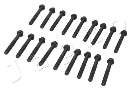 Комплект болтів гбц Mitsubishi L200 (05-) 4D56-HP 2.5 Di-D JAPKO 115504