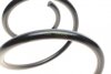 Пружины подвески ПРУЖИНА ПЕРЕДНЯЯ NISSAN TEANA 3,5 2/08- LESJOFORS 4062088 (фото 3)