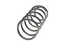 Пружина подв. задн. CHEVROLET LESJOFORS 4214206 (фото 5)