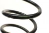 Пружина (задняя) Ford Mondeo 1.8-2.0 16V/2.0-2.2TDCi/2.5-3.0 V6 00-07 (унив.) (с сист.регул.до (opt-om) LESJOFORS 4227562 (фото 2)