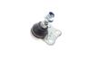Опора кульова (передня/знизу) Renault Megane III/Scenic III 08-/Fluence 10- (SSP1956) (opt-om) MAGNETI MARELLI 301191619560 (фото 5)