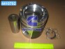 Поршень DAF XE280C1/XE315C1 EURO III (Mahle) MAHLE / KNECHT 213 68 00 (фото 1)