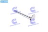 Клапан впускной MAN D0824../D0836.. 49X10X136.6 (Mahle) MAHLE / KNECHT 227 VE 31032 000 (фото 1)