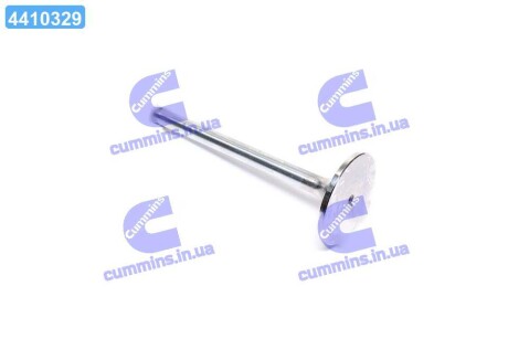 Клапан впускной MAN D0824../D0836.. 49X10X136.6 (Mahle) MAHLE / KNECHT 227 VE 31032 000