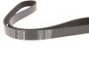 Ремінь генератора Audi A3/A4/Seat Leon/VW Caddy/Passat/Tiguan 1.6-2.0TDI (6PK1025) (opt-om) MEYLE 050 006 1025 (фото 3)