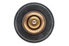 MOTORAD 821-88 INS (фото 6)
