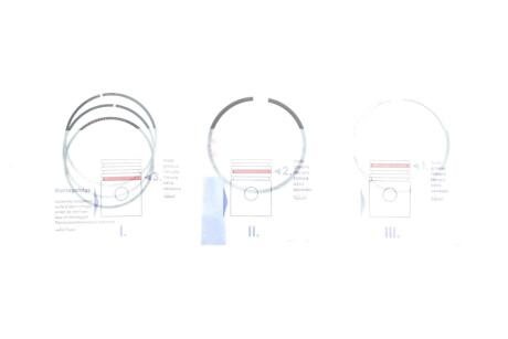 Кільця поршневі NPR 120 038 0053 00