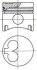 Поршень з кільцями VAG 77,01 1,6D/TD 2,4D/TD NURAL 87-109807-10 (фото 1)