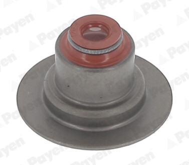 Комплект сальників клапанів IN/EX SET RENAULT F4P/F4R/K4M (SET OF 16) Payen HR5145