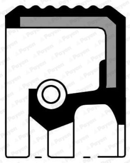 Сальник гумометалевий FRONT 45X60X9 OPEL 2.3D/TD Payen NB628