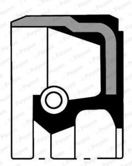 Сальник гумометалевий REAR OPEL 1.7D/1.8/2.5 90X104X11 Payen NB806