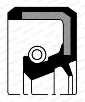 Сальник резинометаллический REAR MAZDA FS 89X109X9/10.3 Payen NK205