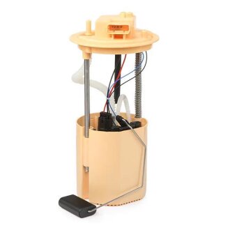 Паливний насос в зборі Peugeot/Citroen 13332079