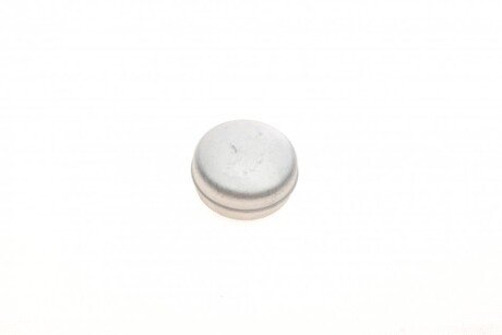 Кришка підшипника маточини (задньогого) Fiat Ducato/Citroen Jumper 82-02 (d=62mm) (opt-om) QUICK BRAKE 9821