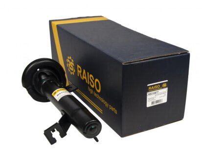 Амортизатор передній лівий на Fusion 02-12 RAISO RS314677