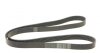 Приводний ремінь RENAULT 117208314R (фото 5)