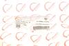 Патрубок інтеркулера Renault Fluence/Scenic III/Megane III 1.5dCi 08- (opt-om) ROTWEISS RWS2692 (фото 2)