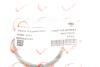 Прокладка впускного колектора Renault Kangoo/Laguna II/Trafic 1.4-2.0 01- (opt-om) ROTWEISS RWS2845 (фото 2)