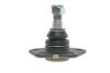 Опора кульова (передня/знизу) Citroen Jumper/Fiat Ducato/Peugeot Boxer (1.8t) 94- (opt-om) RTS 93-00582-056 (фото 3)