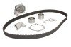 Комплект (ремень+ролик+насос) SKF VKMC 94919-1 (фото 1)
