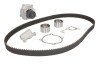 Комплект (ремень+ролик+насос) SKF VKMC 94919-1 (фото 2)