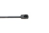 Амортизатор кришки багажника Ford Fusion 1.25/1.4/1.6 TDCi 04-12 (opt-om) STABILUS 012559 (фото 4)