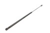 Амортизатор кришки багажника Ford Fusion 1.25/1.4/1.6 TDCi 04-12 (opt-om) STABILUS 012559 (фото 5)
