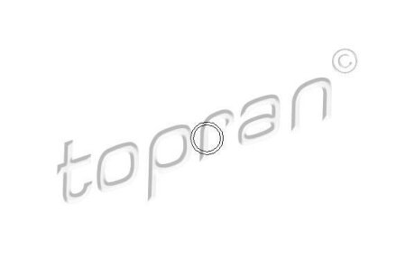 Фото кільце ущільнююче форсунки TOPRAN / HANS PRIES 100678 Кільце ущільнююче форсунки TOPRAN / HANS PRIES 100678