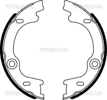 Комплект гальмівних колодок стоянкового гальма TRISCAN 810018010