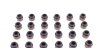 Комплект сальників клапанів IN/EX (SET) BMW M52, MB/OPEL X25XE/VAG BHK/BDW/FORD (24 PCS) 6MM VICTOR REINZ 12-31306-05 (фото 2)