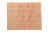 Фільтр повітряний RENAULT /AP137/1 (WIX-FILTERS UA) WIX FILTERS WA6562 (фото 4)